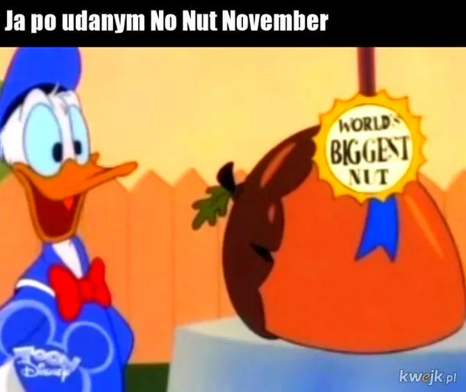 Co naprawdę oznacza no nut November i dlaczego warto wziąć w tym udział?
