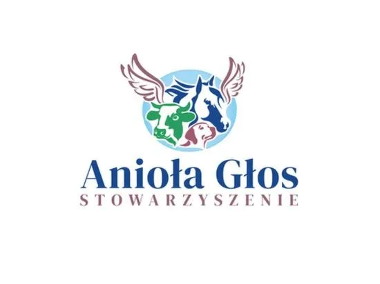 Jak anioła głos na pianino: nuty i proste aranżacje