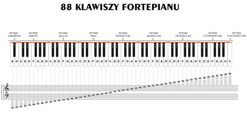 Kiedy tylko spojrzę na nuty na pianino: jak od razu zacząć grać