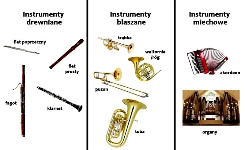 Muzyczna współpraca