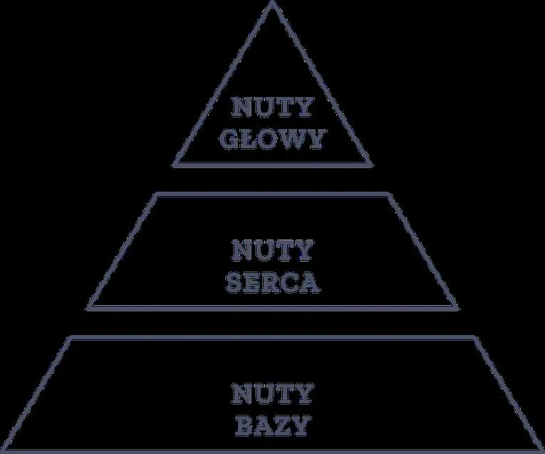 Nuty głowy serca bazy