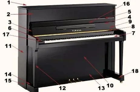 Pianino cyfrowe