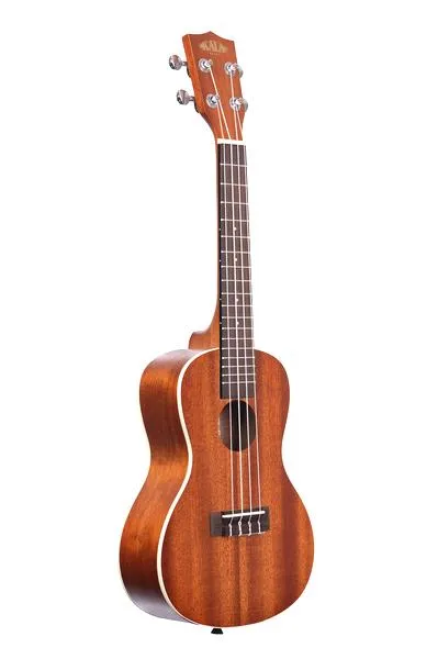 Przygotowanie do nauki ukulele
