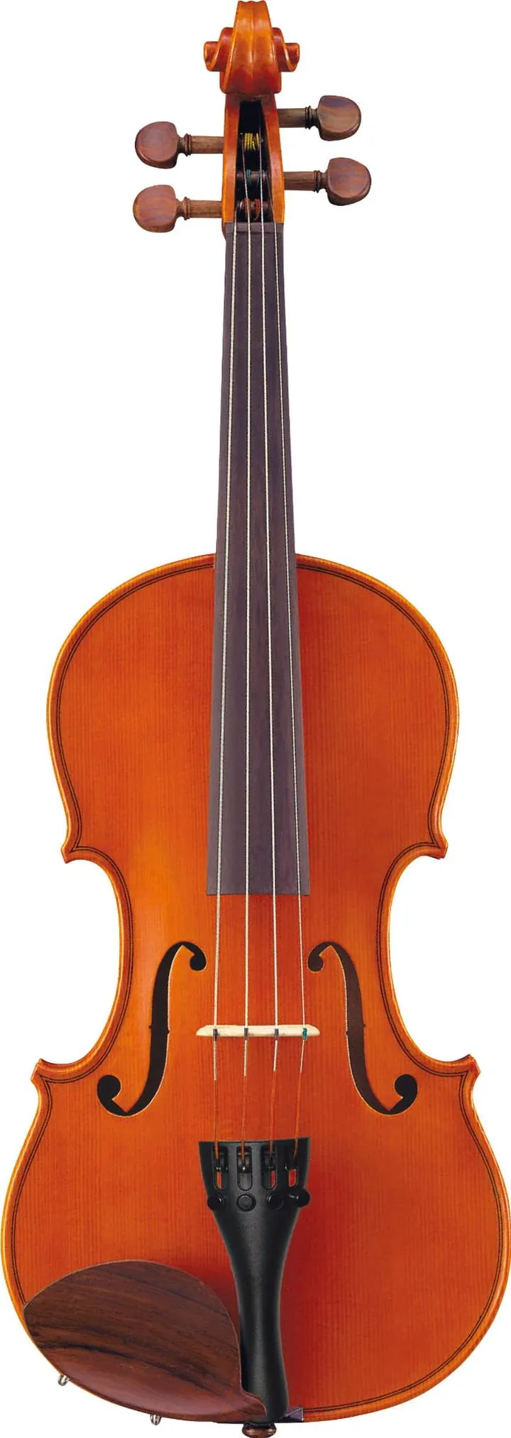 Skrzyce jako instrument strunowy