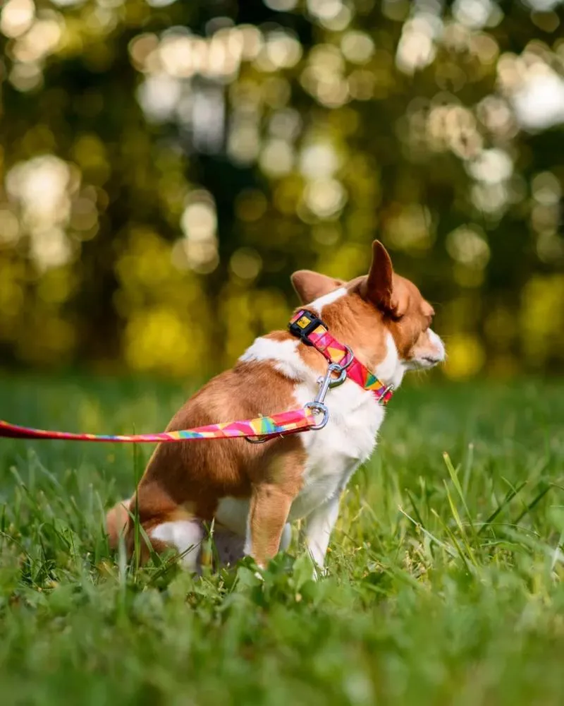 Tradycyjne i nowoczesne materiały